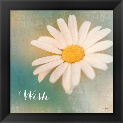 Framed Daisy Wishes Print