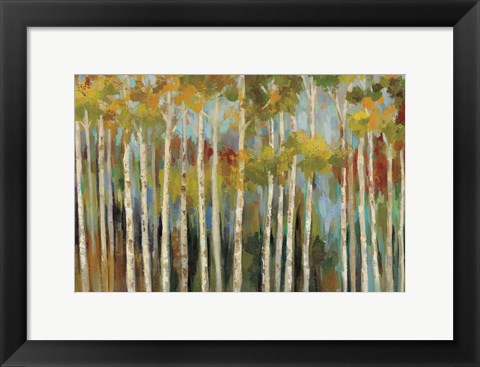 Framed Young Forest III Print