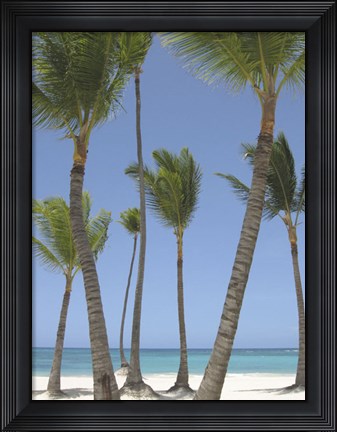 Framed Gran Bavarro I Print