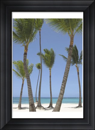 Framed Gran Bavarro I Print