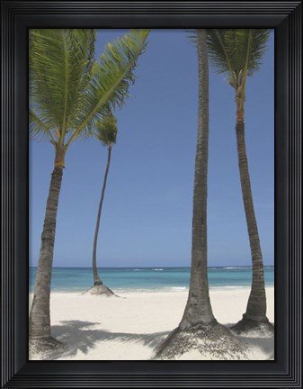 Framed Gran Bavarro II Print