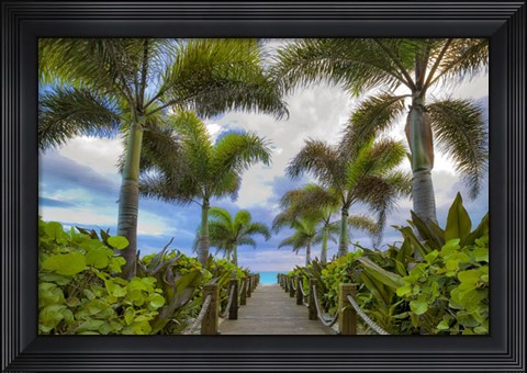 Framed Paradise Path Print