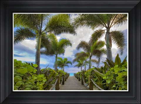 Framed Paradise Path Print