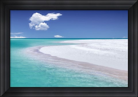 Framed Tropical Simplicity Print