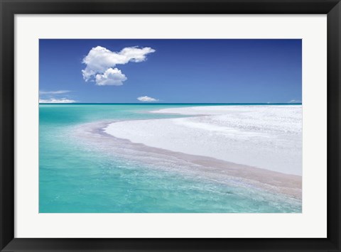 Framed Tropical Simplicity Print