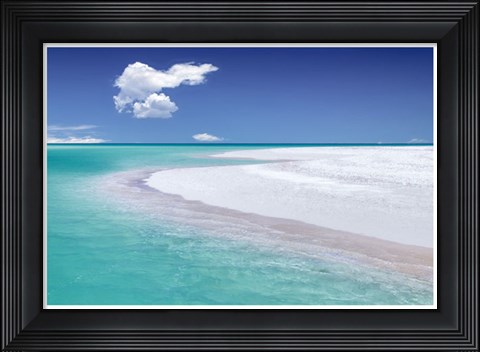 Framed Tropical Simplicity Print