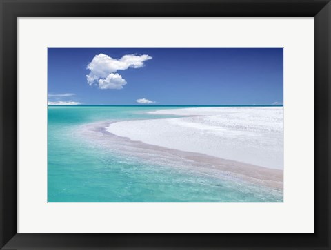 Framed Tropical Simplicity Print