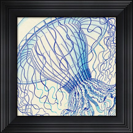 Framed Vintage Jellyfish II Print