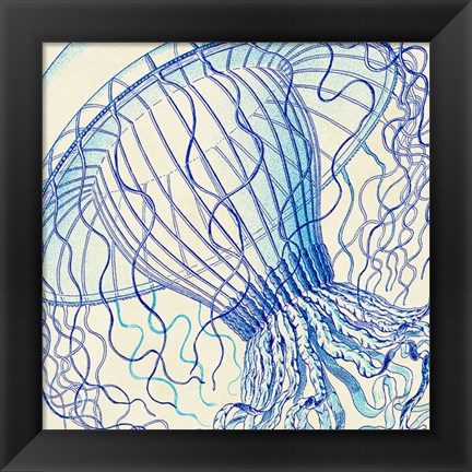 Framed Vintage Jellyfish II Print