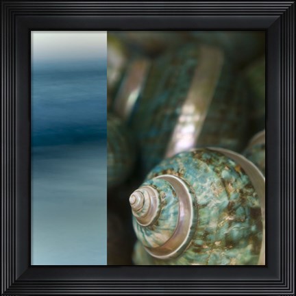 Framed Serenity Shores II Print