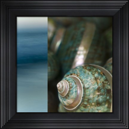 Framed Serenity Shores II Print