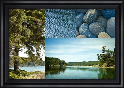 Framed Edge Of The Forest II Print