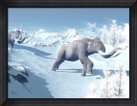 Framed Mammoths Walking Slowly on the Snowy Mountain Against the Wind Print