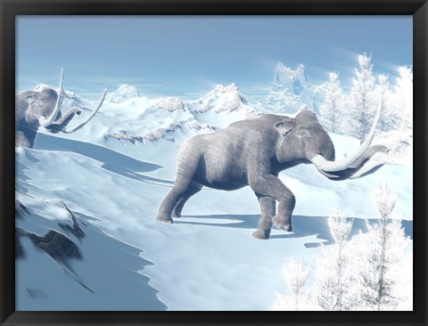 Framed Mammoths Walking Slowly on the Snowy Mountain Against the Wind Print