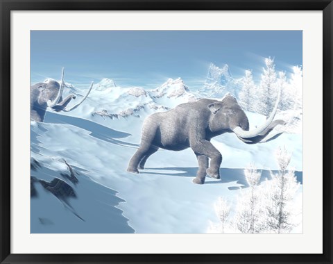 Framed Mammoths Walking Slowly on the Snowy Mountain Against the Wind Print