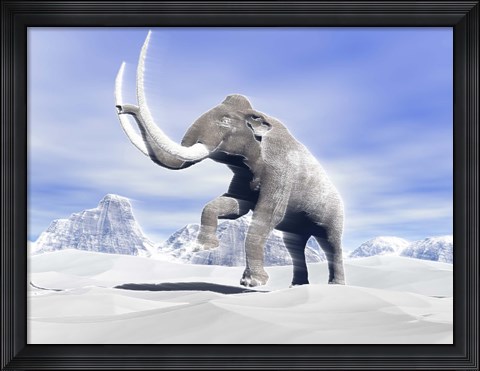 Framed Large Mammoth Walking Slowly on the Snowy Mountain Print