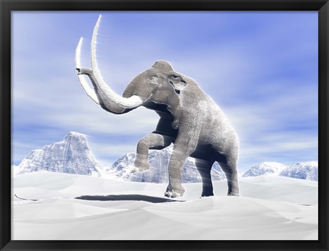 Framed Large Mammoth Walking Slowly on the Snowy Mountain Print