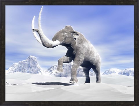 Framed Large Mammoth Walking Slowly on the Snowy Mountain Print