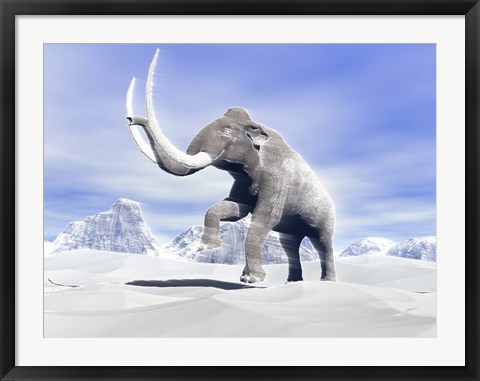 Framed Large Mammoth Walking Slowly on the Snowy Mountain Print