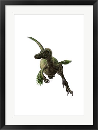 Framed Velociraptor, White Background Print