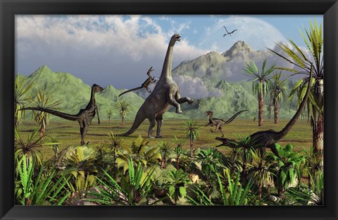 Framed Velociraptor Dinosaurs Attack a Camarasaurus Print