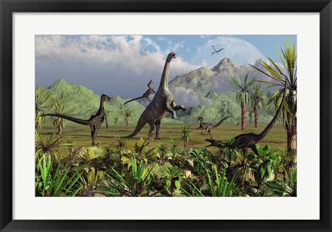 Framed Velociraptor Dinosaurs Attack a Camarasaurus Print