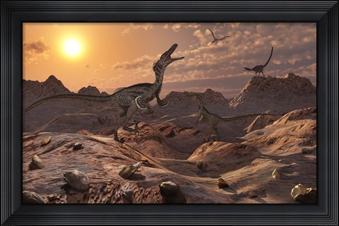 Framed Pack of Carnivorous Velociraptors from the Cretaceous Period Print