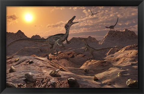 Framed Pack of Carnivorous Velociraptors from the Cretaceous Period Print