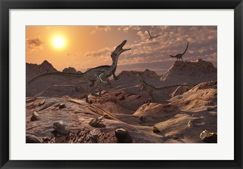 Framed Pack of Carnivorous Velociraptors from the Cretaceous Period Print