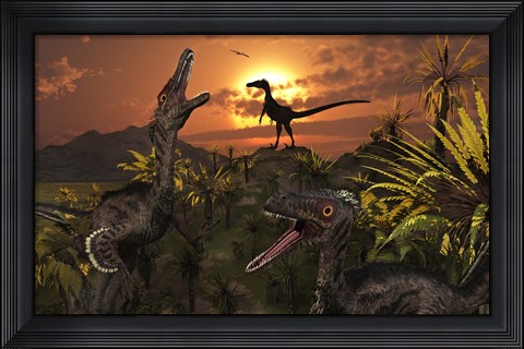 Framed Group of Feathered Carnivorous Velociraptors Print
