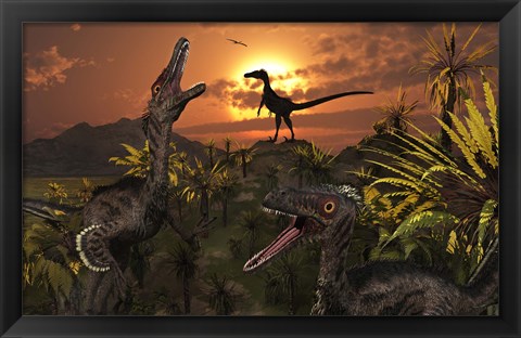 Framed Group of Feathered Carnivorous Velociraptors Print