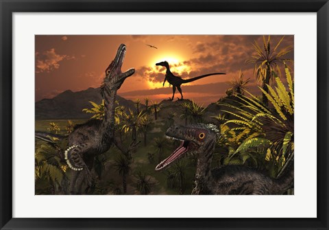 Framed Group of Feathered Carnivorous Velociraptors Print