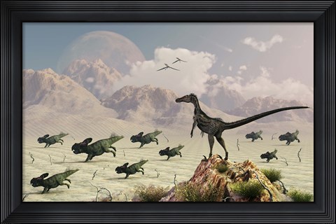 Framed Protoceratops stampede in fear as a Velociraptor Watches Print