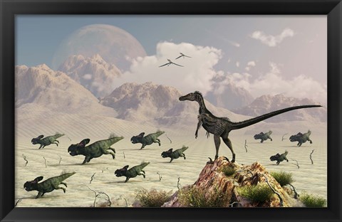 Framed Protoceratops stampede in fear as a Velociraptor Watches Print