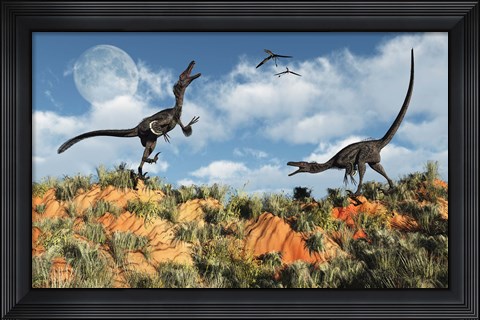 Framed Velociraptors involved in a Territorial Dispute Print