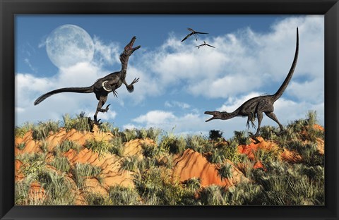 Framed Velociraptors involved in a Territorial Dispute Print