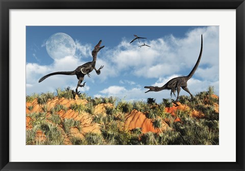 Framed Velociraptors involved in a Territorial Dispute Print