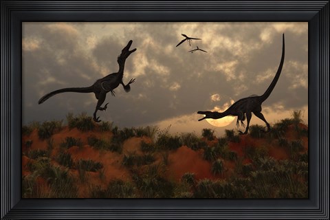 Framed Pair of Velociraptors Print