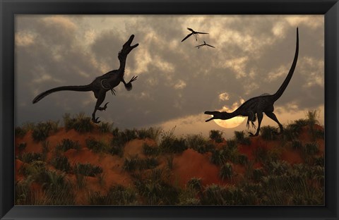 Framed Pair of Velociraptors Print