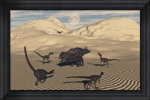 Framed Velociraptors Encircling a  Protoceratops Print