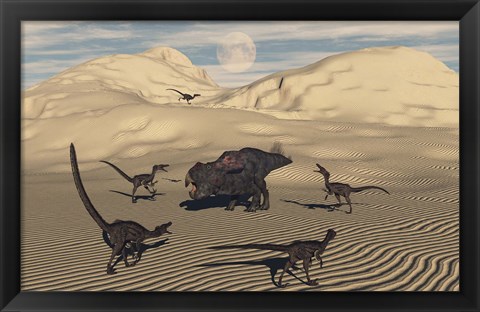 Framed Velociraptors Encircling a  Protoceratops Print