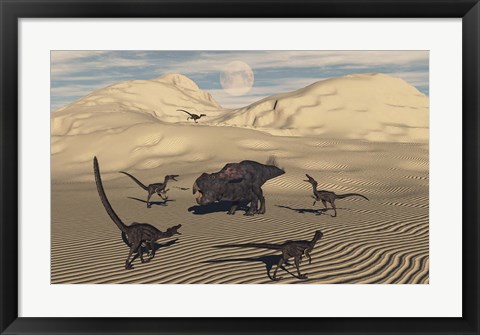 Framed Velociraptors Encircling a  Protoceratops Print