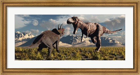 Framed T- Rex and Triceratops meet for a Battle 4 Print