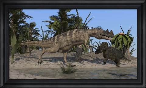 Framed Ceratosaurus Hunting down a Triceratops Print