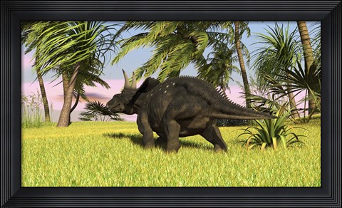 Framed Triceratops Dinosaur 10 Print