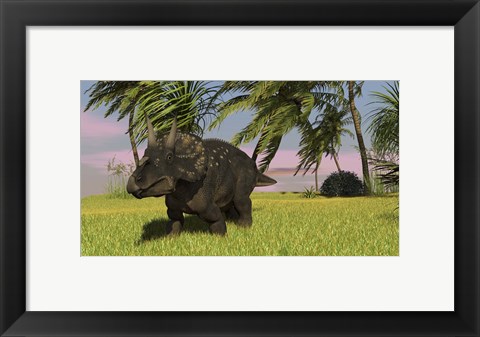 Framed Triceratops Dinosaur 11 Print