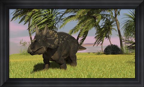 Framed Triceratops Dinosaur 11 Print