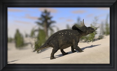Framed Triceratops Dinosaur 8 Print