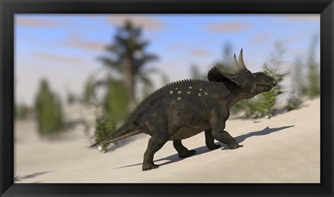 Framed Triceratops Dinosaur 8 Print
