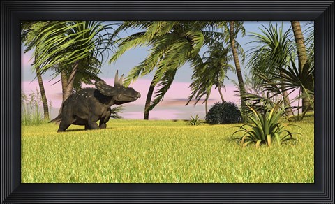 Framed Triceratops Dinosaur 9 Print